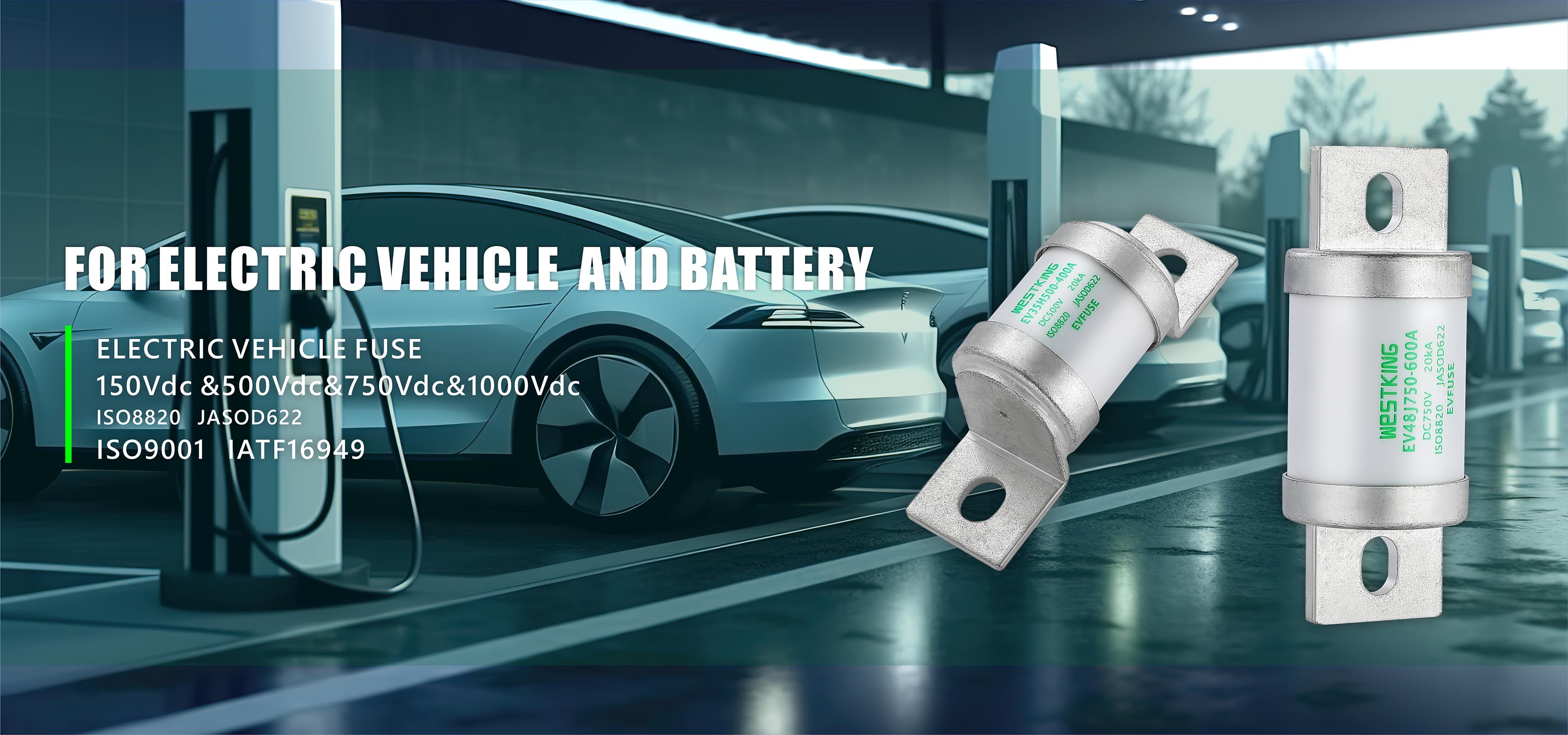 Elektrikli Avtomobil və Akkumulyator Zavodu üçün EV FUSE